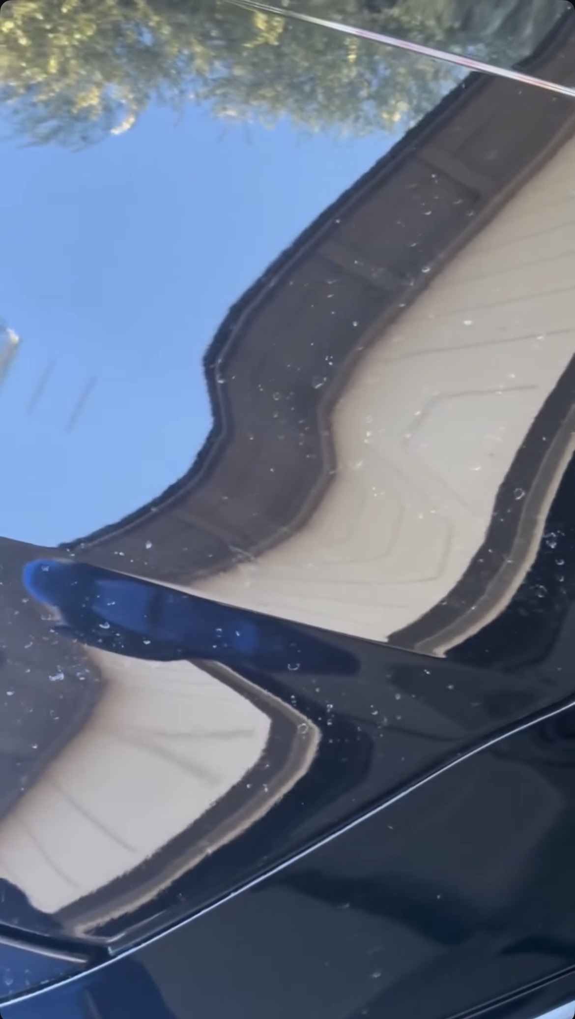 Polishing machine in use during paint correction process